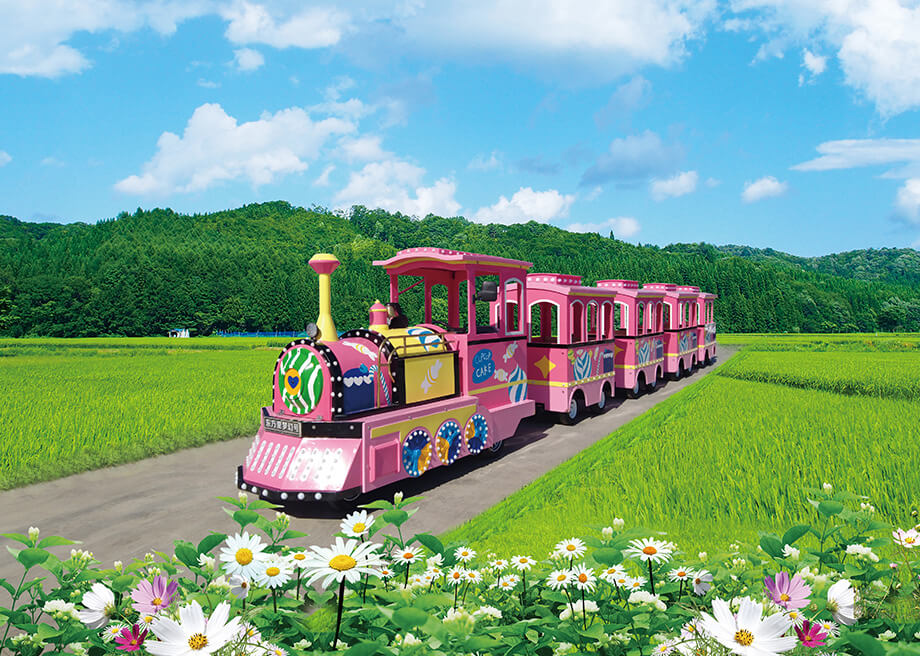 Small Trackless Train