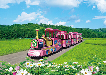 Small Trackless Train