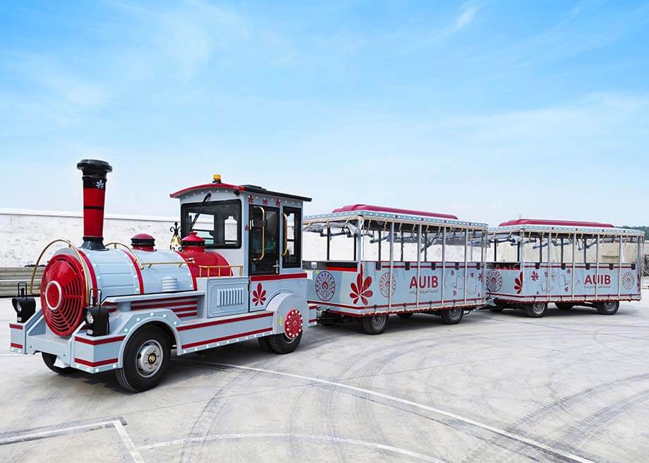 40 Seater Diesel Trackless Train