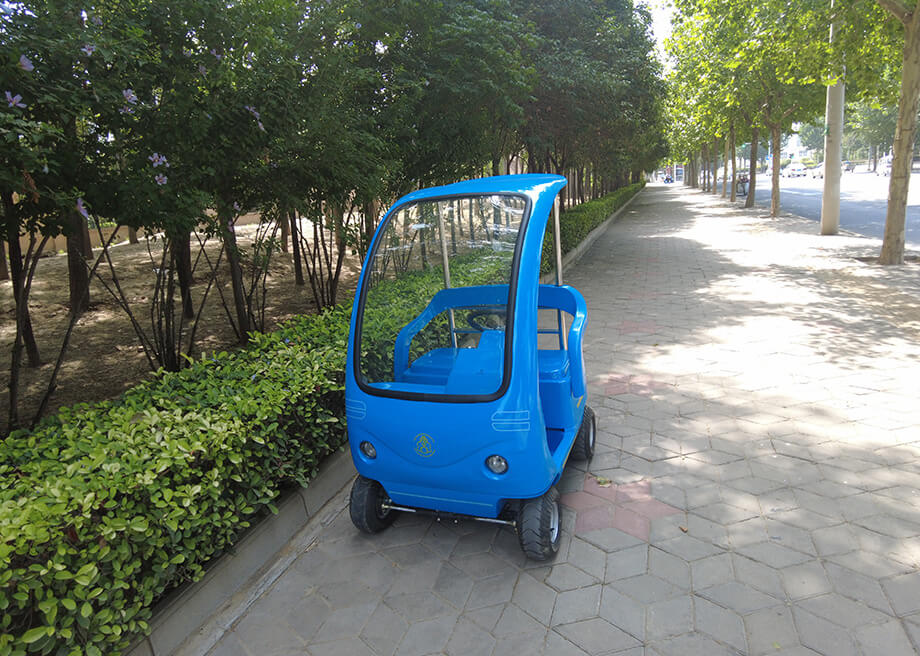 Electric Mini Sightseeing Car