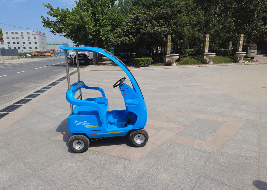 Electric Mini Sightseeing Car