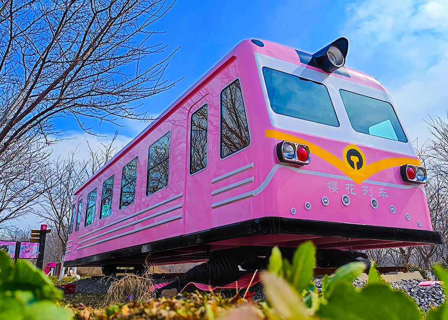 Sakura Train