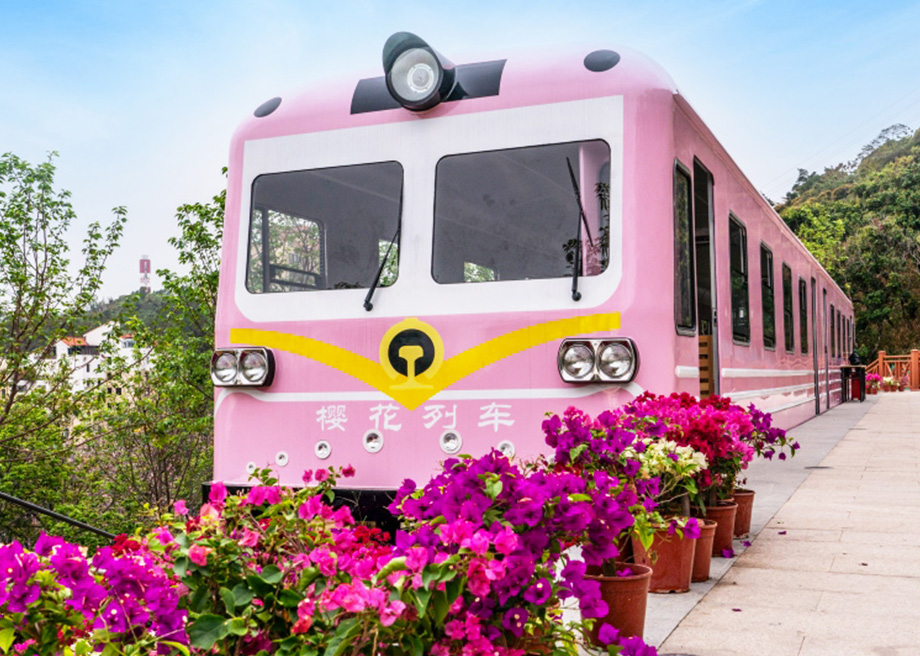 Sakura Train