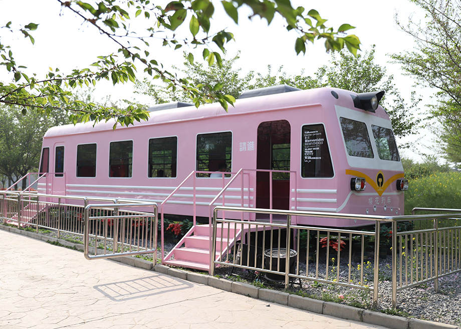 Sakura Train