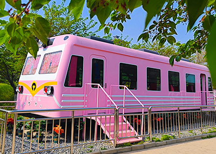 Sakura Train