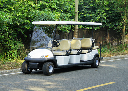 Electric Golf Cart
