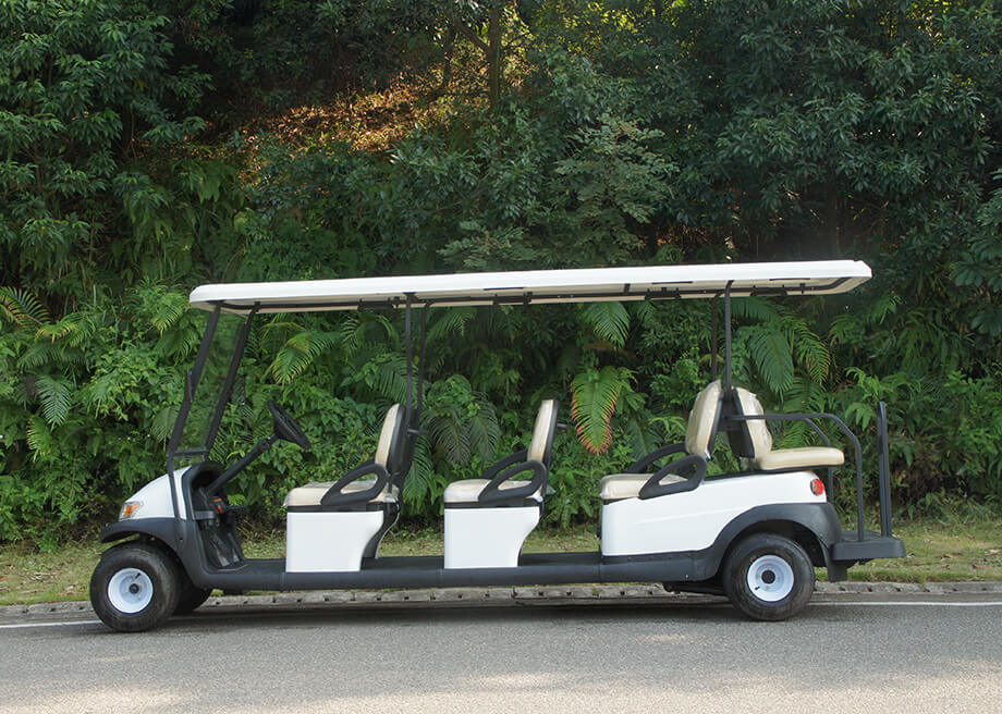 Electric Golf Cart