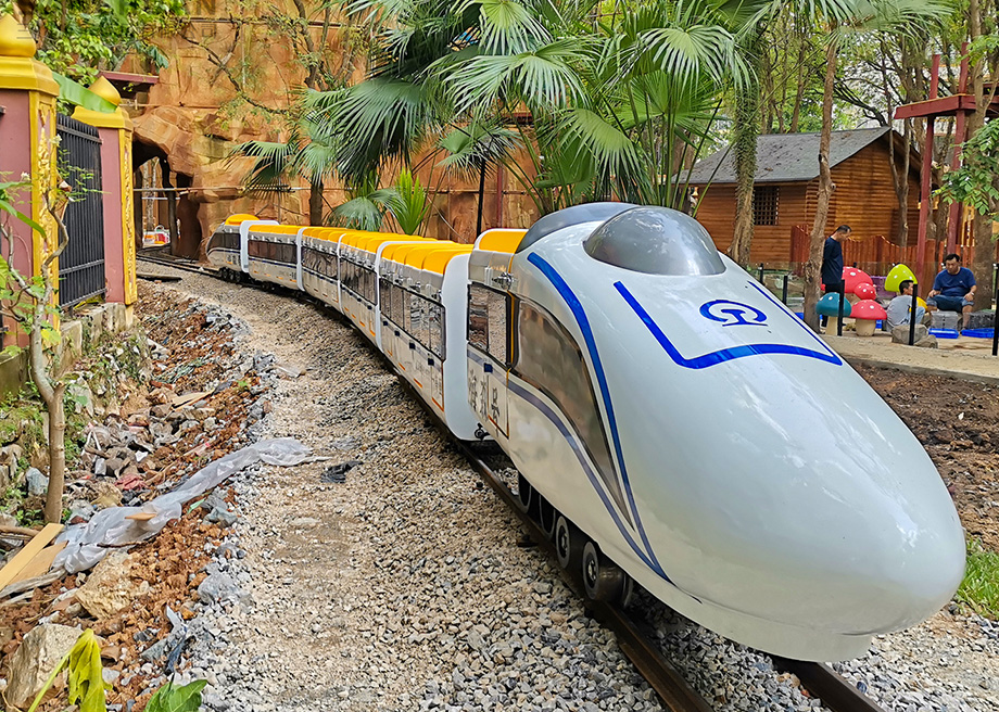 Mini Electric Track Train