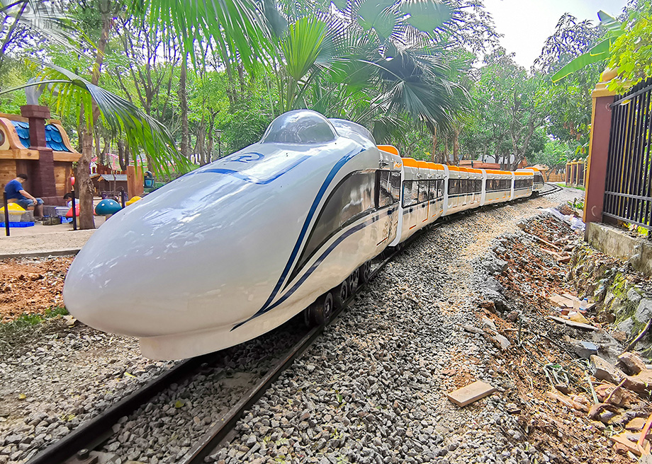 Mini Electric Track Train