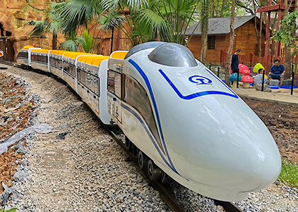 Mini Electric Track Train