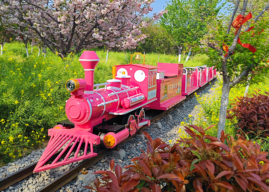 Mini Net Celebrity Train