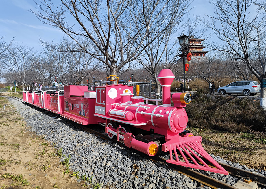 Mini Net Celebrity Train
