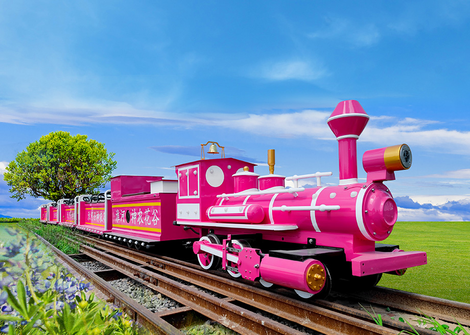 Mini Net Celebrity Train