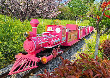 Mini Net Celebrity Train