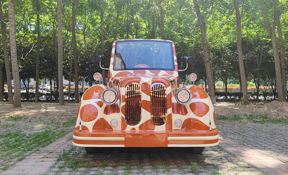 Sightseeing Vintage Car