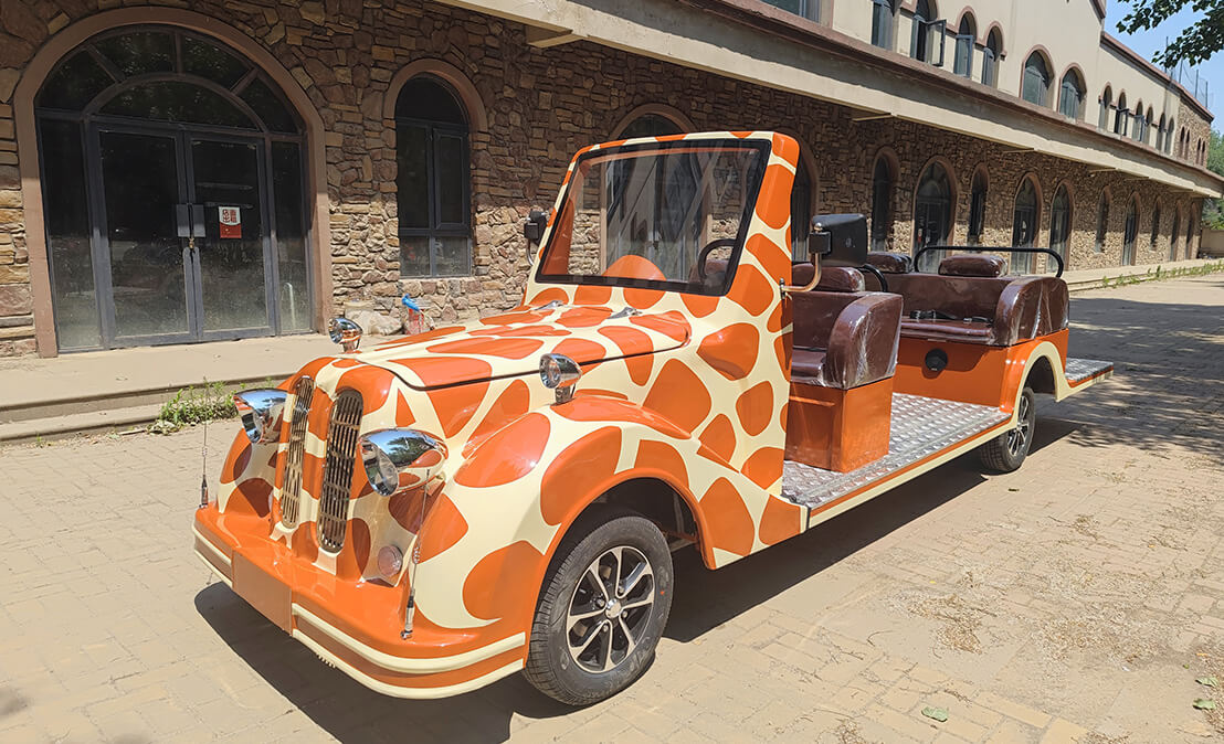 Sightseeing Vintage Car