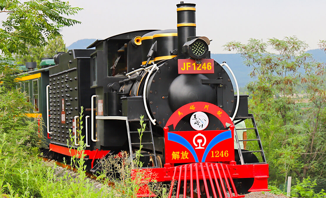 Sightseeing Track Train