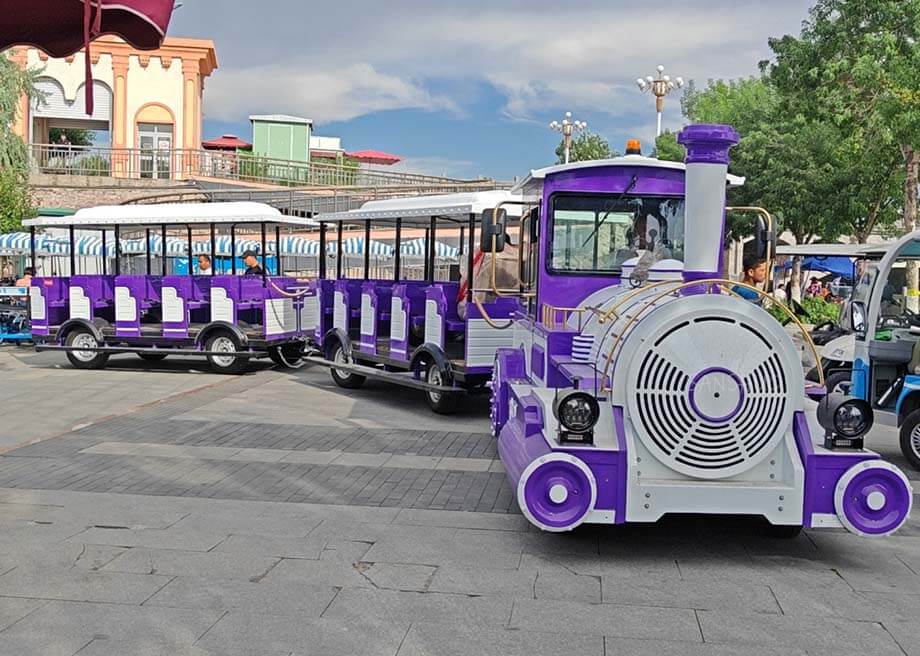 40 Seater Electric Sightseeing Train