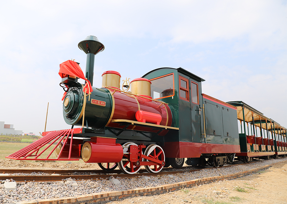 Customized Large Track Train