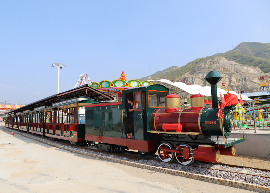 Customized Large Track Train