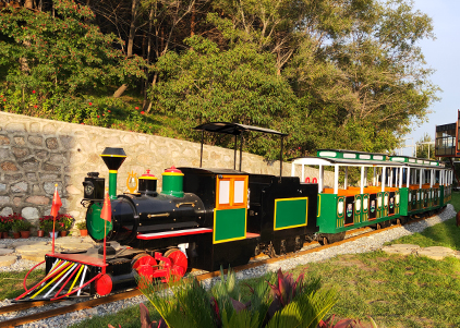 Medium Track Train-Customized Green Train