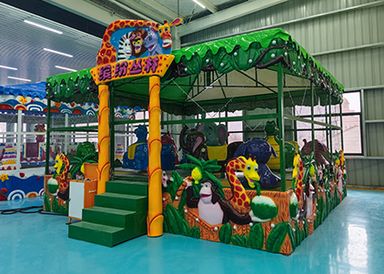 Colorful Jungle Spray Ball Car Rides