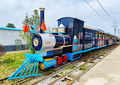 Medium Track Train-37 Seats Track Train