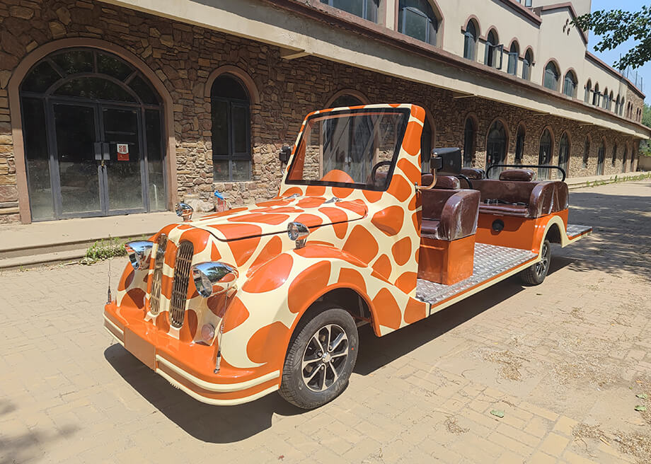 Sightseeing Vintage Car