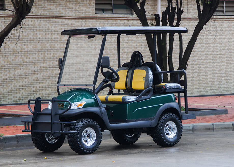 Electric Buggy Golf Cart