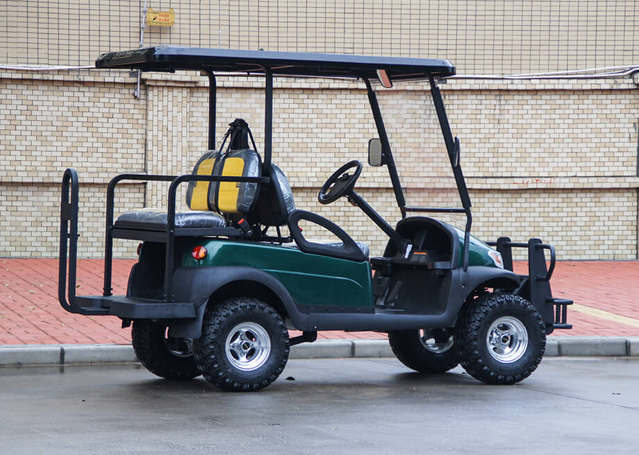 Electric Buggy Golf Cart