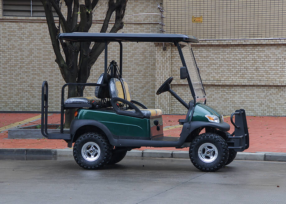 Electric Buggy Golf Cart