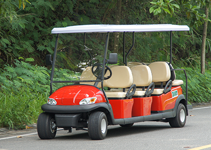 8 Seater Electric Golf Cart