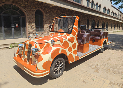 Sightseeing Vintage Car