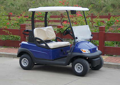 2 Seater Electric Golf Cart
