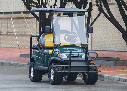 Electric Buggy Golf Cart