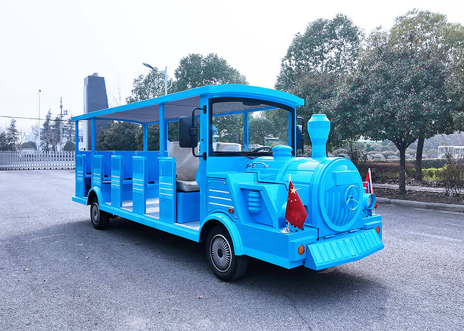 Train-Shaped Sightseeing Car